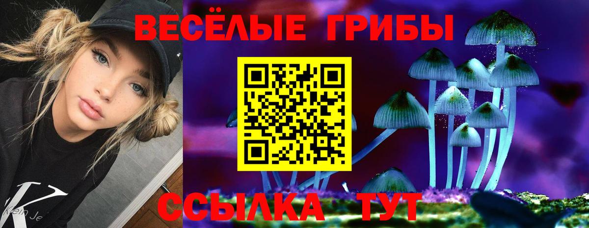 Псилоцибиновые грибы Magic Shrooms  Вход с VPN  Псилоцибиновые грибы прущие грибы  цены   Батайск 